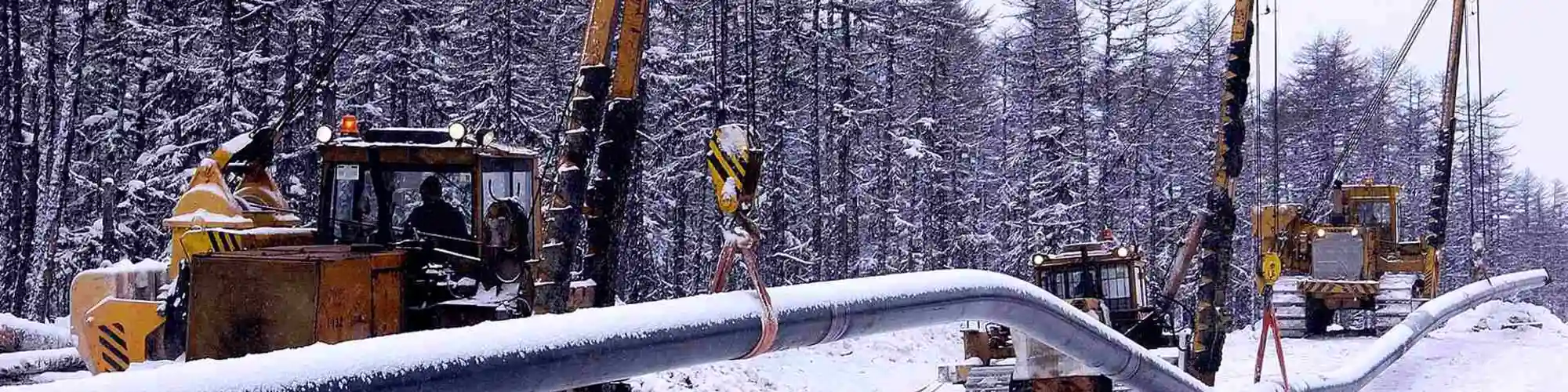 <h2>АРЕНДА КРОУЛЕРОВ</h2>